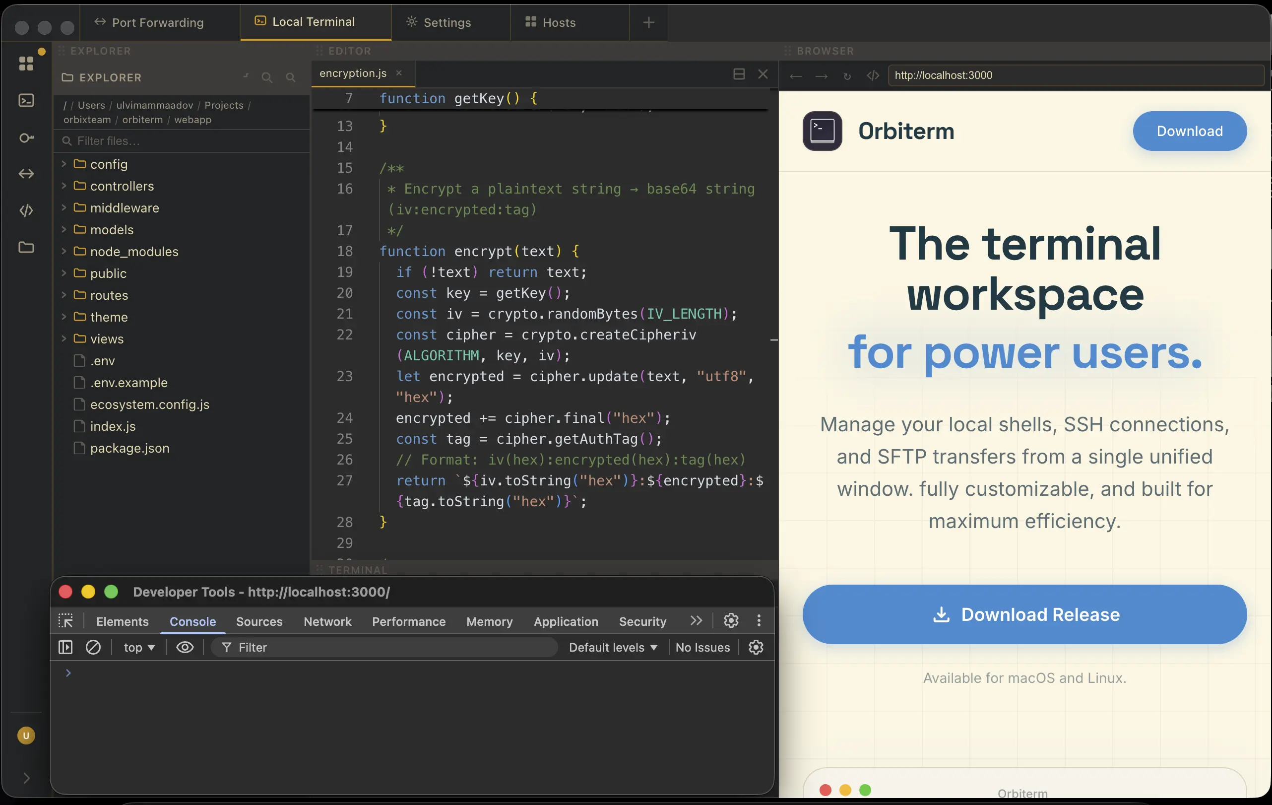 Web browser with dev tools